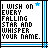 I Wish On Every Falling Star