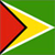 Guyana Flag Icon