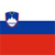 Slovenia Flag Icon