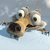 Ice Age 2 - The Meltdown Icon 3