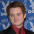 Elijah Wood Icon 71