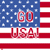 Go USA Football Icon