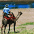 Camel Safari - Australia Icon