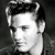 Elvis Presley Icon 29