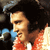 Elvis Presley Icon 38