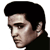 Elvis Presley Icon 12