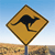 Kangaroo Myspace Icon 2