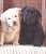 Dog Myspace Icon 2