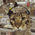 Cat Myspace Icon 7