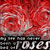 Flowers Myspace Icon 30