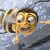Bee Movie Myspace Icon 3