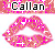 Callan 2