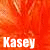 Kasey