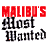 Malibu s Most Wanted 17