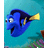 Finding Nemo 38