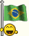 Brazil Flag smiley 19